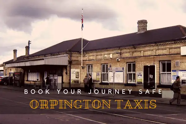 Orpington